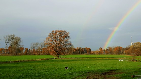 20171123_103217_resized-555x312