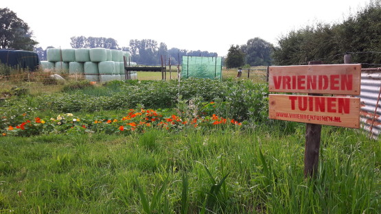 20180608_182700-555x312